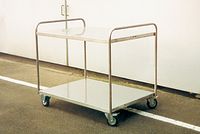 Carrello a due piani in acciaio inox e ruote frenabili Tipo 110/95 Carrello a due piani in acciaio inox e ruote frenabili Tipo 110/95